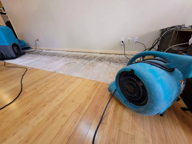 Professional Flood Damage Cleanup technician working in Falkville, AL
